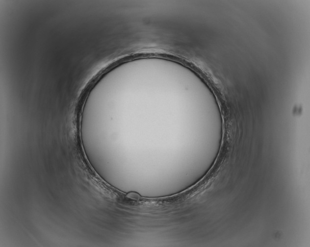 X0000093751167200711061041