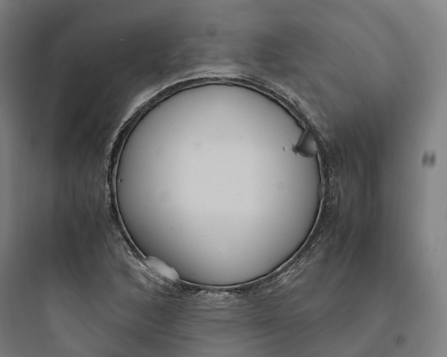 X0000093751168200711061041