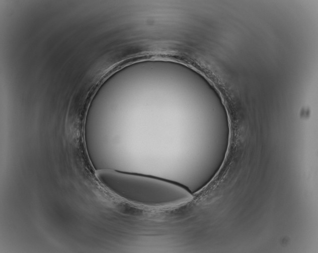 X0000093751169200711061041
