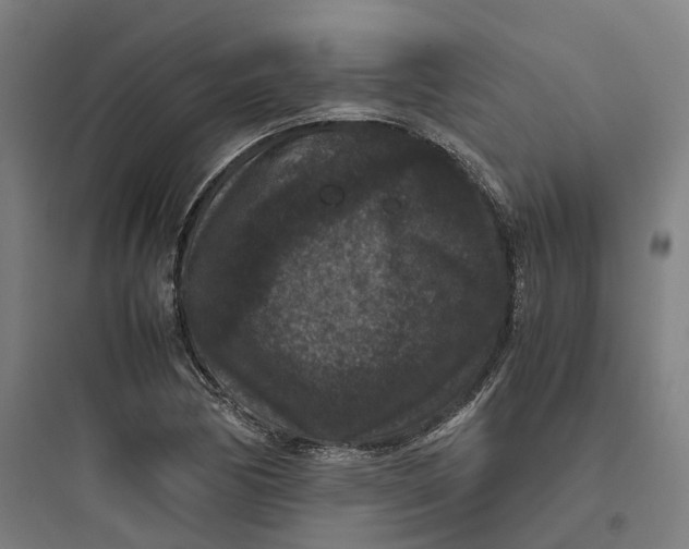 X0000093751170200711061041