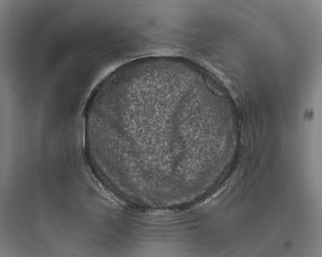 X0000093751171200711061041