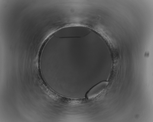 X0000093751173200711061041