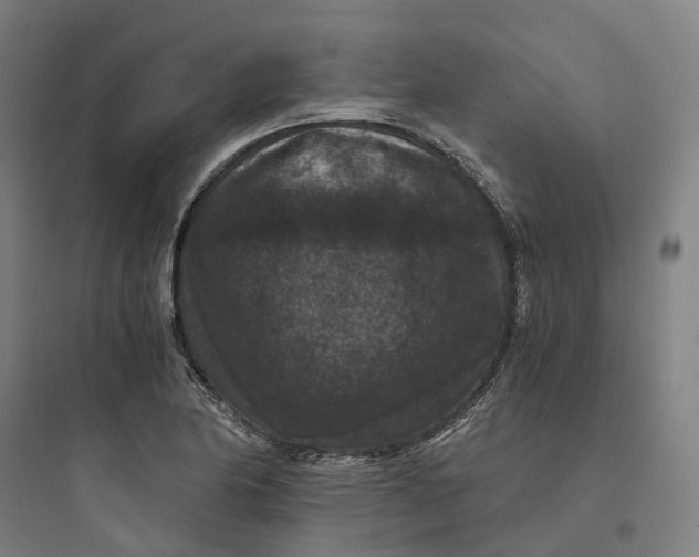 X0000093751174200711061041
