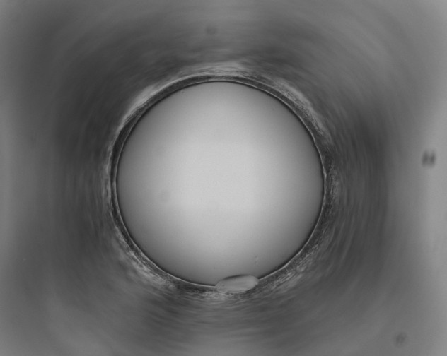X0000093751176200711061041