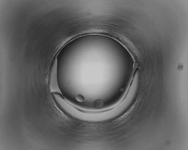 X0000093751177200711061041