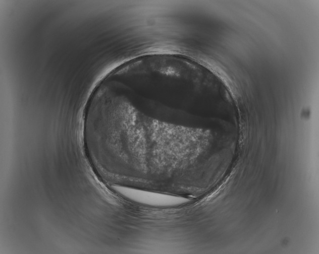 X0000093751179200711061041