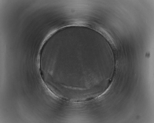 X0000093751180200711061041