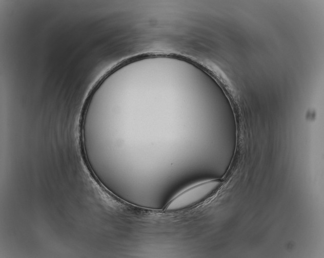 X0000093751183200711061041