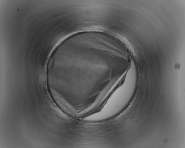 X0000093751184200711061041