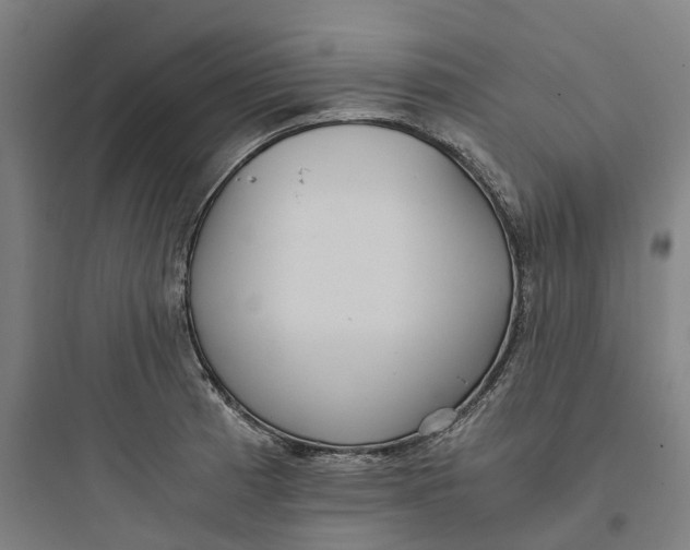 X0000093751185200711061041