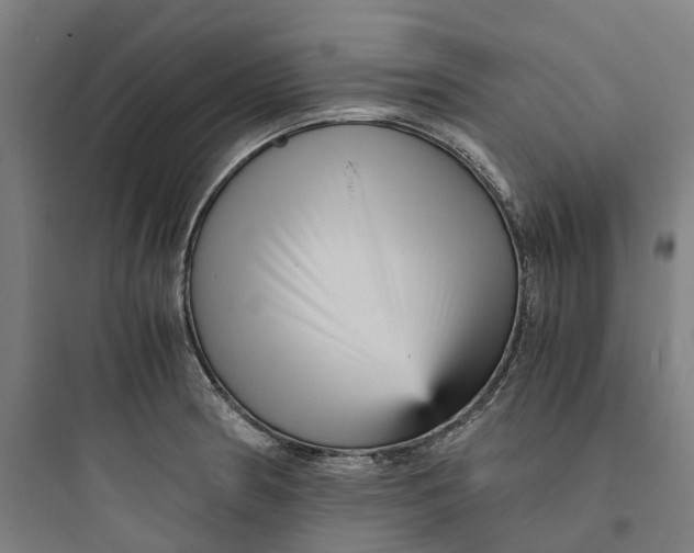 X0000093751186200711061041