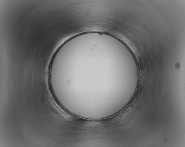 X0000093751187200711061041