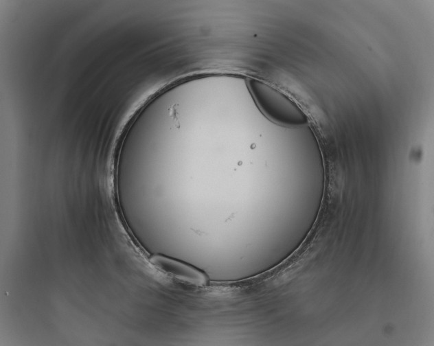 X0000093751188200711061041