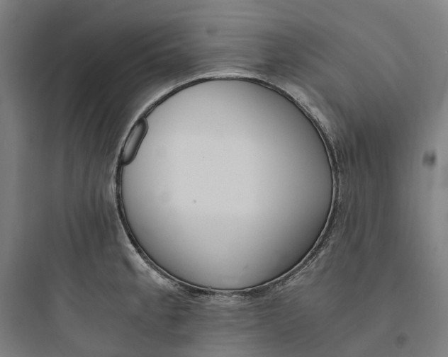 X0000093751189200711061041
