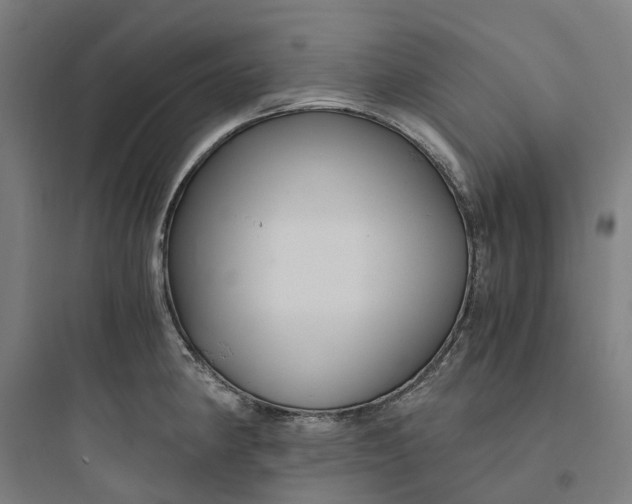 X0000093751190200711061041