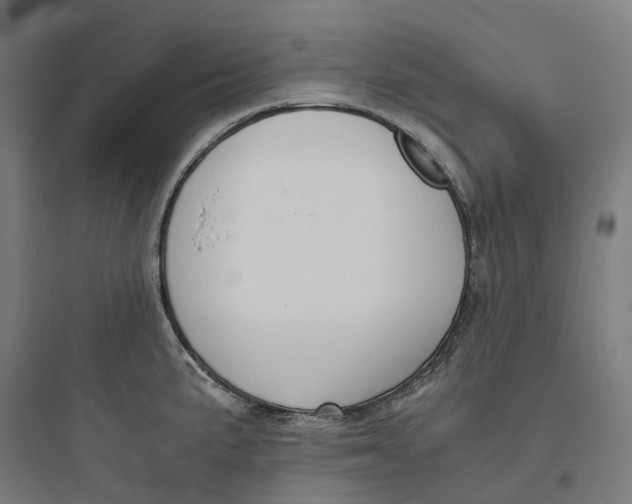 X0000093751191200711061041