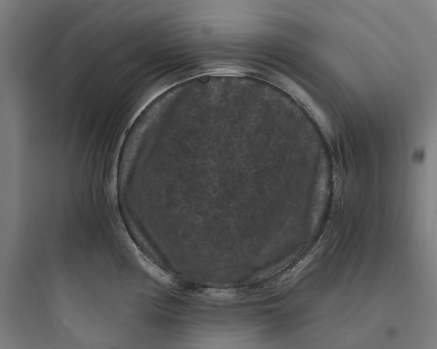 X0000093751194200711061041