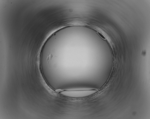X0000093751195200711061041