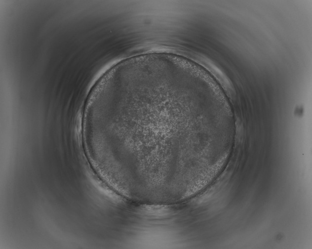 X0000093751198200711061041