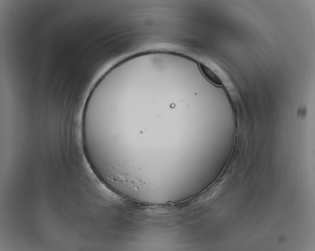X0000093751199200711061041