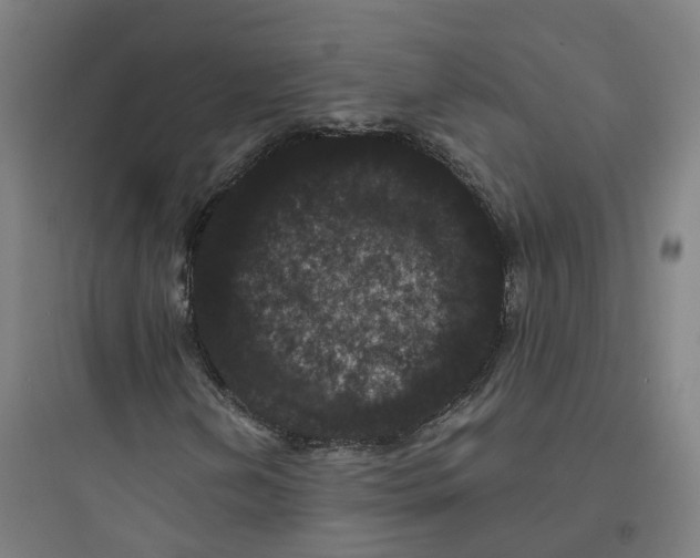 X0000093751202200711061040