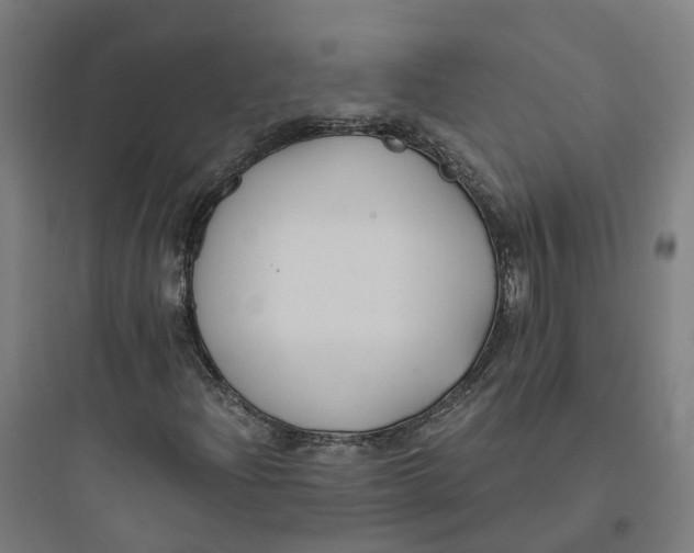 X0000093751204200711061040