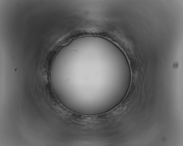 X0000093751205200711061040