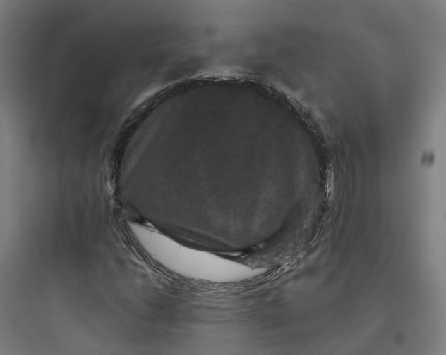 X0000093751206200711061040