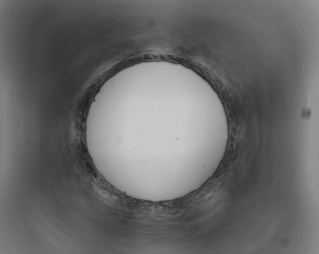 X0000093751207200711061040