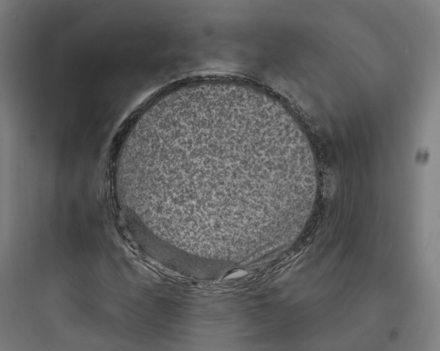 X0000093751208200711061040