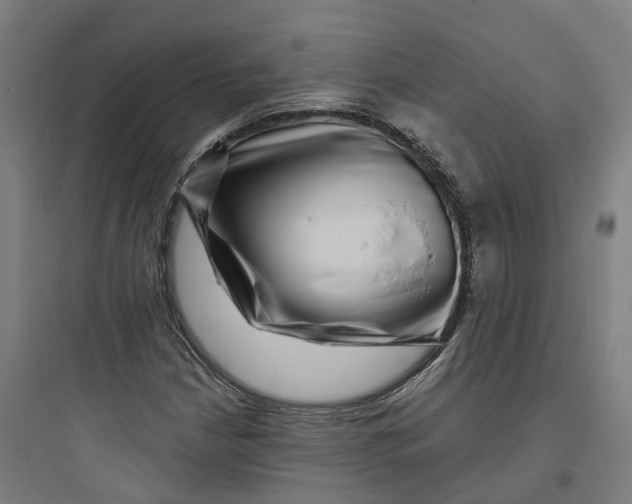 X0000093751210200711061040
