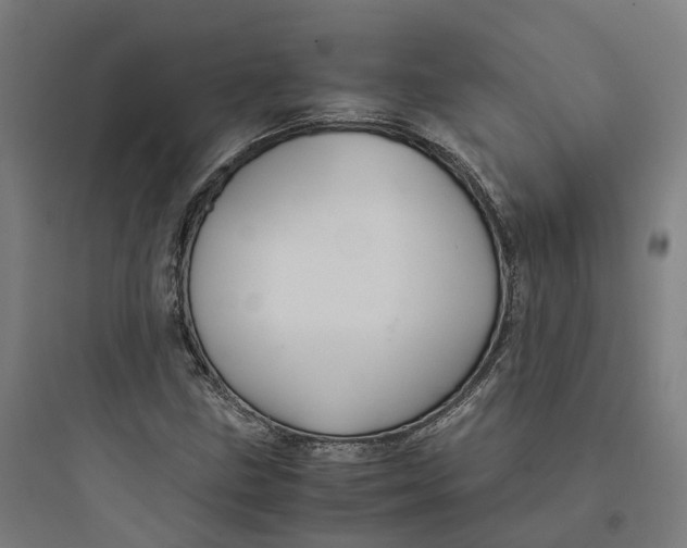 X0000093751211200711061040