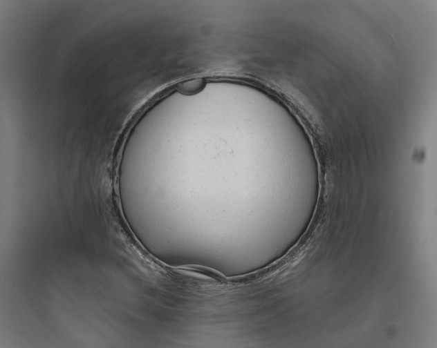 X0000093751212200711061040