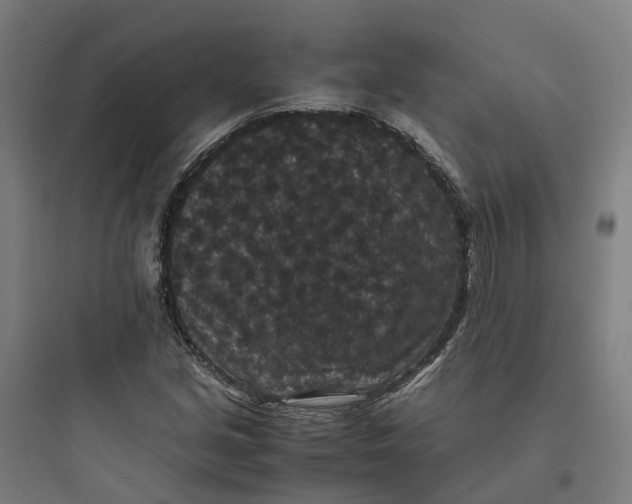 X0000093751213200711061040