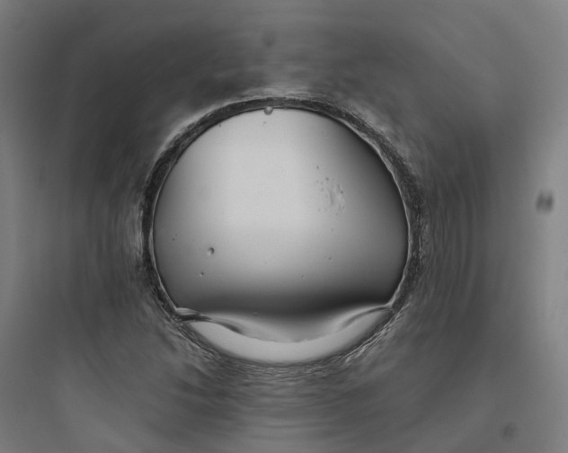X0000093751214200711061040