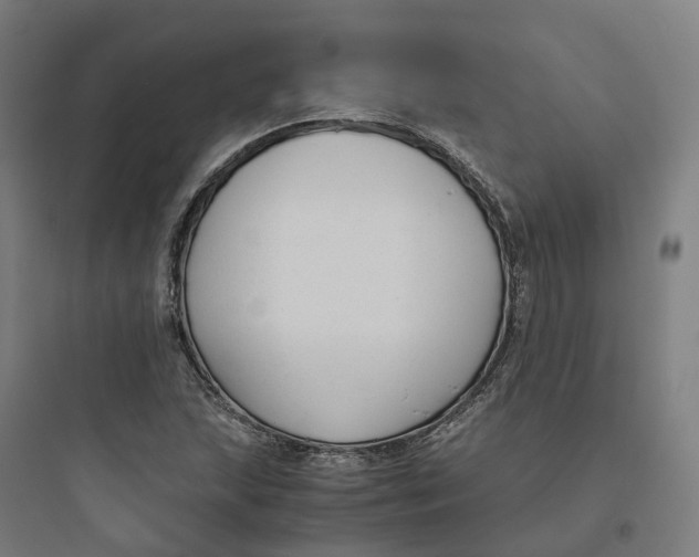 X0000093751215200711061040