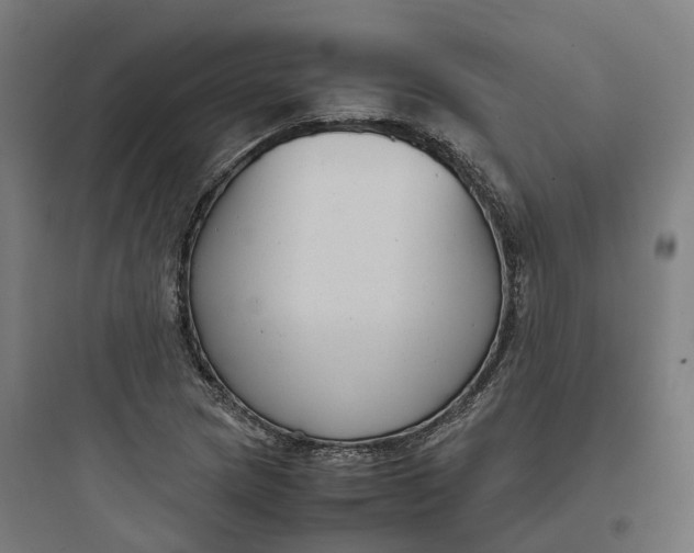 X0000093751217200711061040