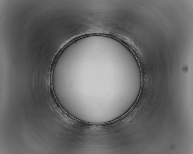 X0000093751220200711061040
