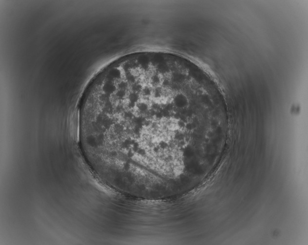 X0000093751223200711061040