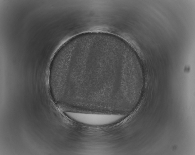 X0000093751224200711061040