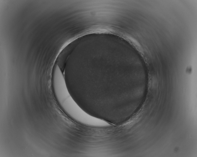 X0000093751226200711061040