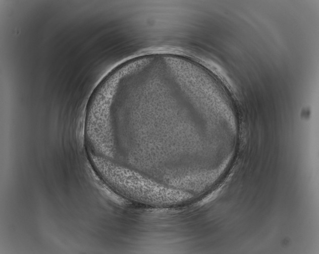 X0000093751228200711061040