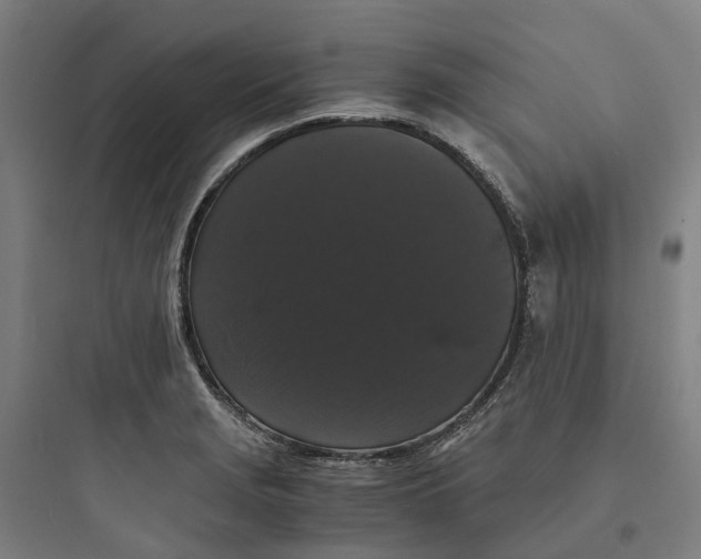 X0000093751229200711061040