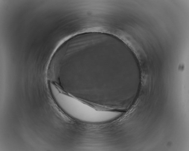 X0000093751230200711061040