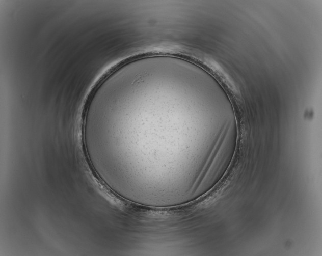 X0000093751232200711061040