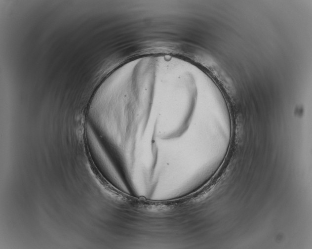 X0000093751233200711061040