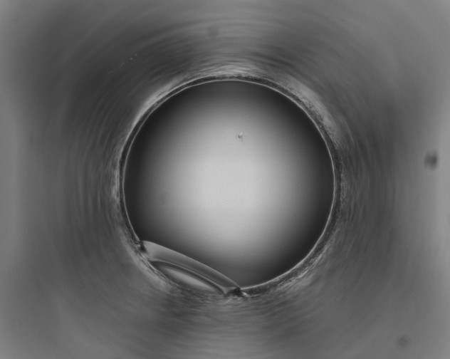 X0000093751234200711061040