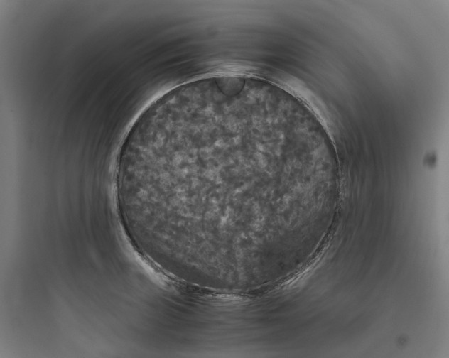 X0000093751235200711061040