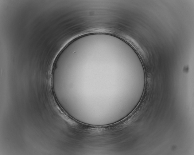 X0000093751236200711061040