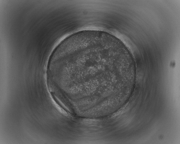 X0000093751237200711061040